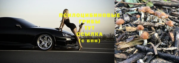 apvp Баксан