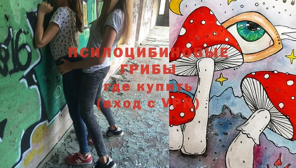 мяу мяу мука Армянск