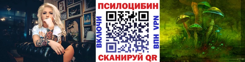 это клад  Бирск  Псилоцибиновые грибы Psilocybe 