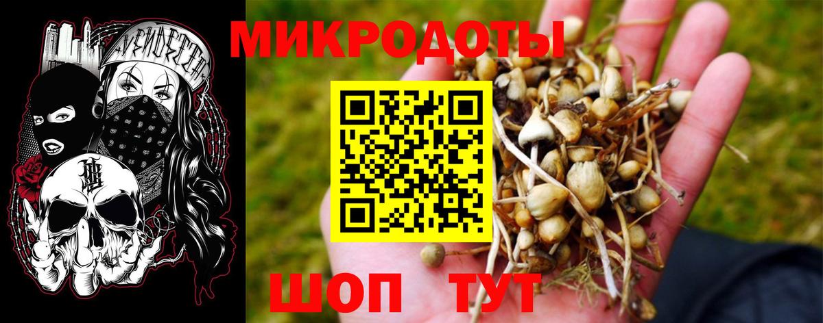Бирск  Псилоцибиновые грибы Psilocybine cubensis  Вход с VPN 